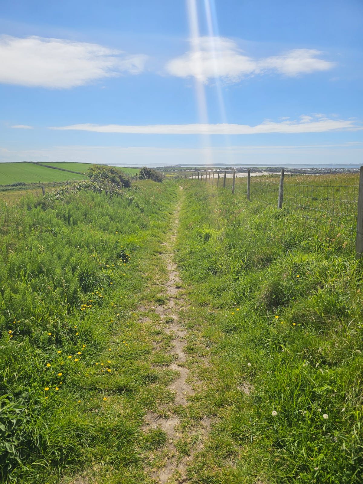 Coastal path through green fields on Anglesey leading towards the sea